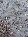 IMG_8825.webp